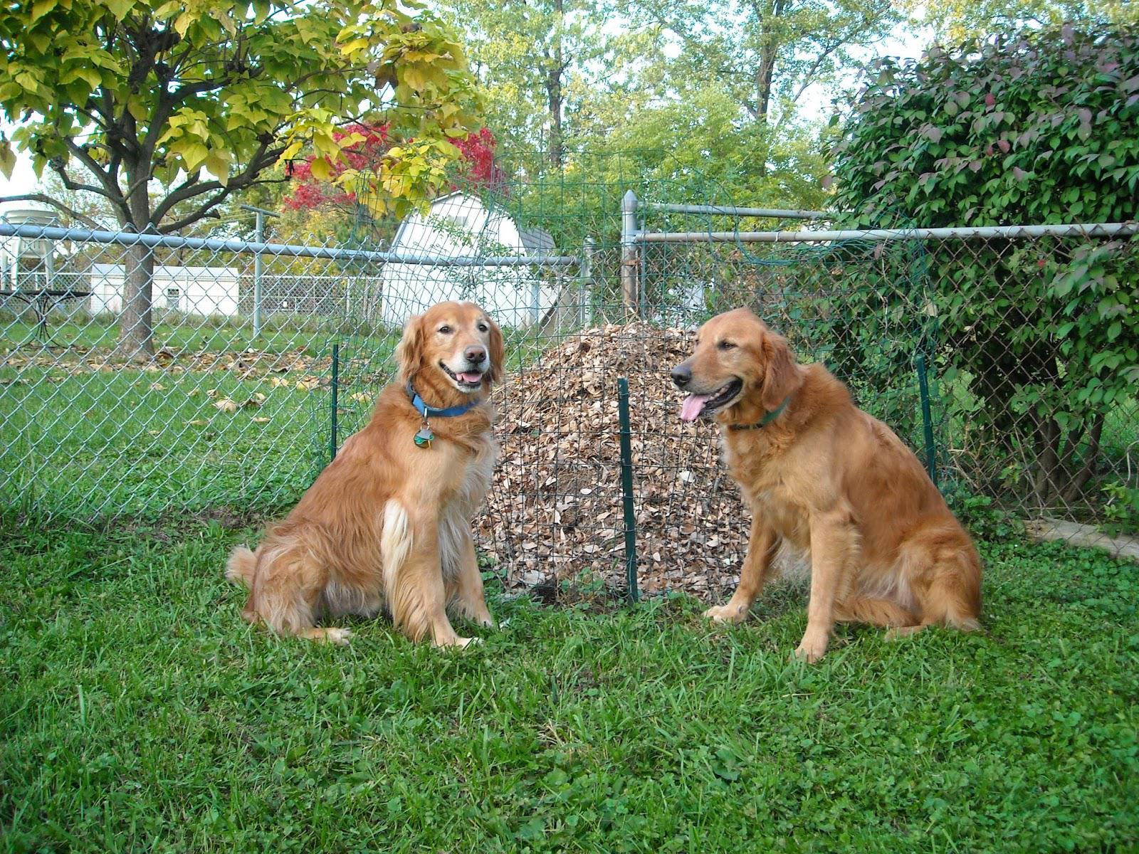 The Great Deal, The Compost Pile and the New North Home
